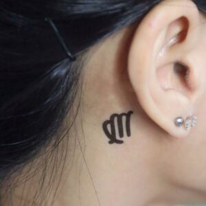 Star Sign Virgo
