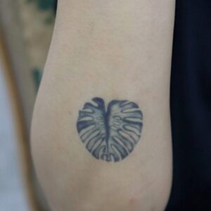 Drawn Monsterra