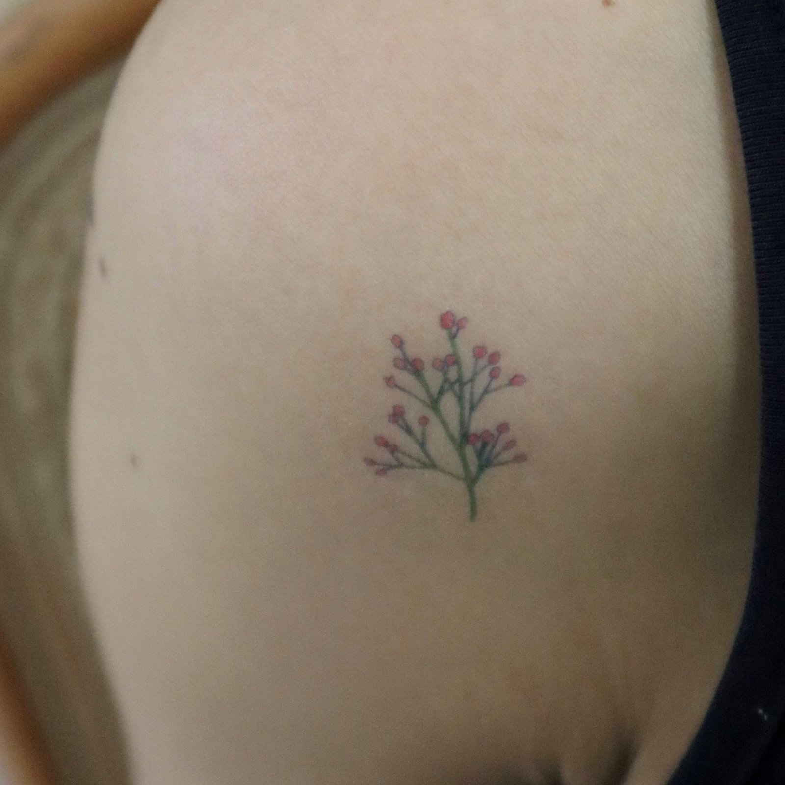 Pink Baby's Breath