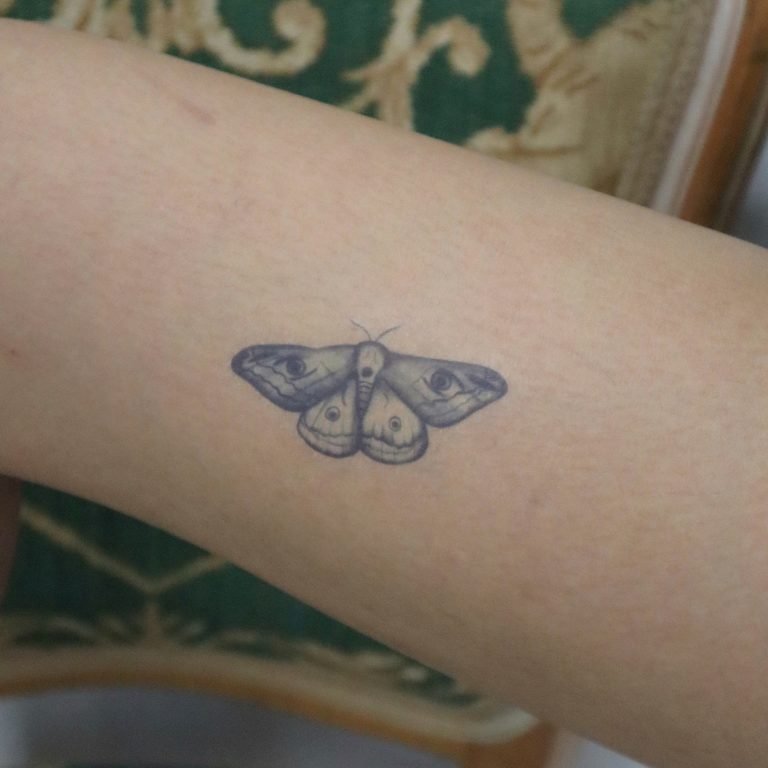 Four Eyed Moth