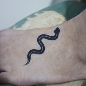 Black Crawling Snake