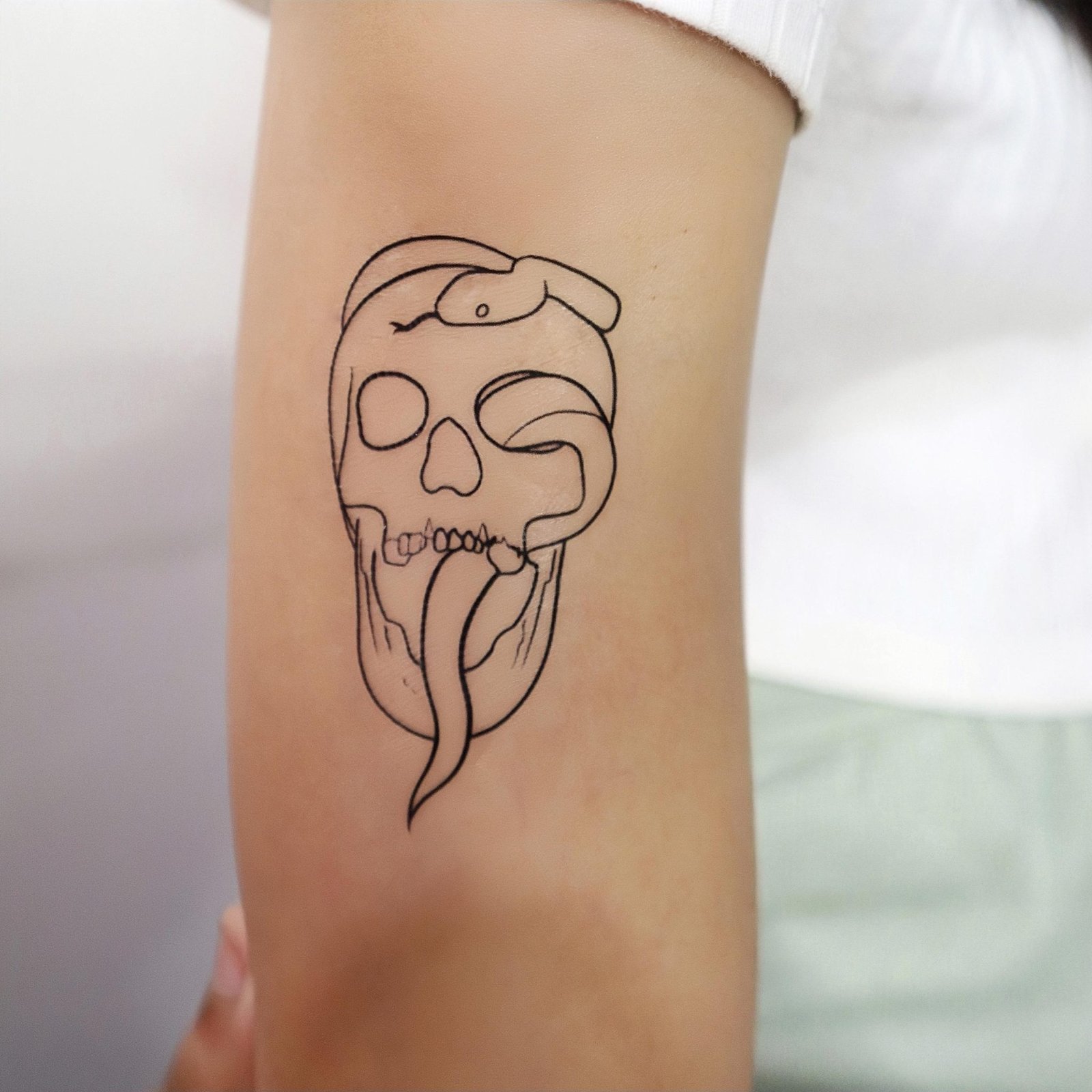 Skull & Snake