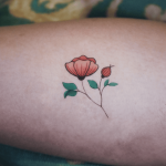 Pink Peony
