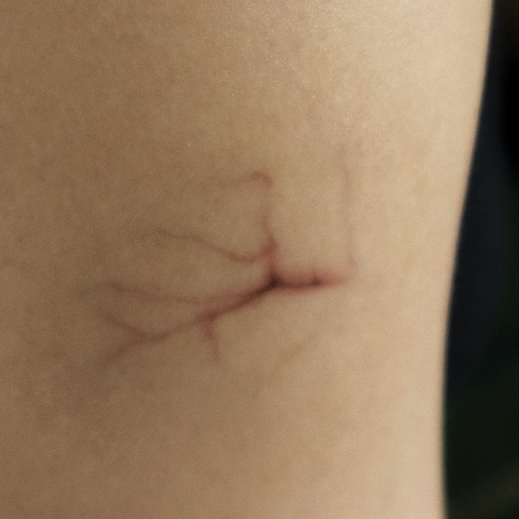 Veins Temporary Tattoo – SFX Body Art - Image 3