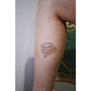 Love Snake Temporary Tattoo