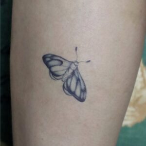 Preflight Moth Temporary Tattoo