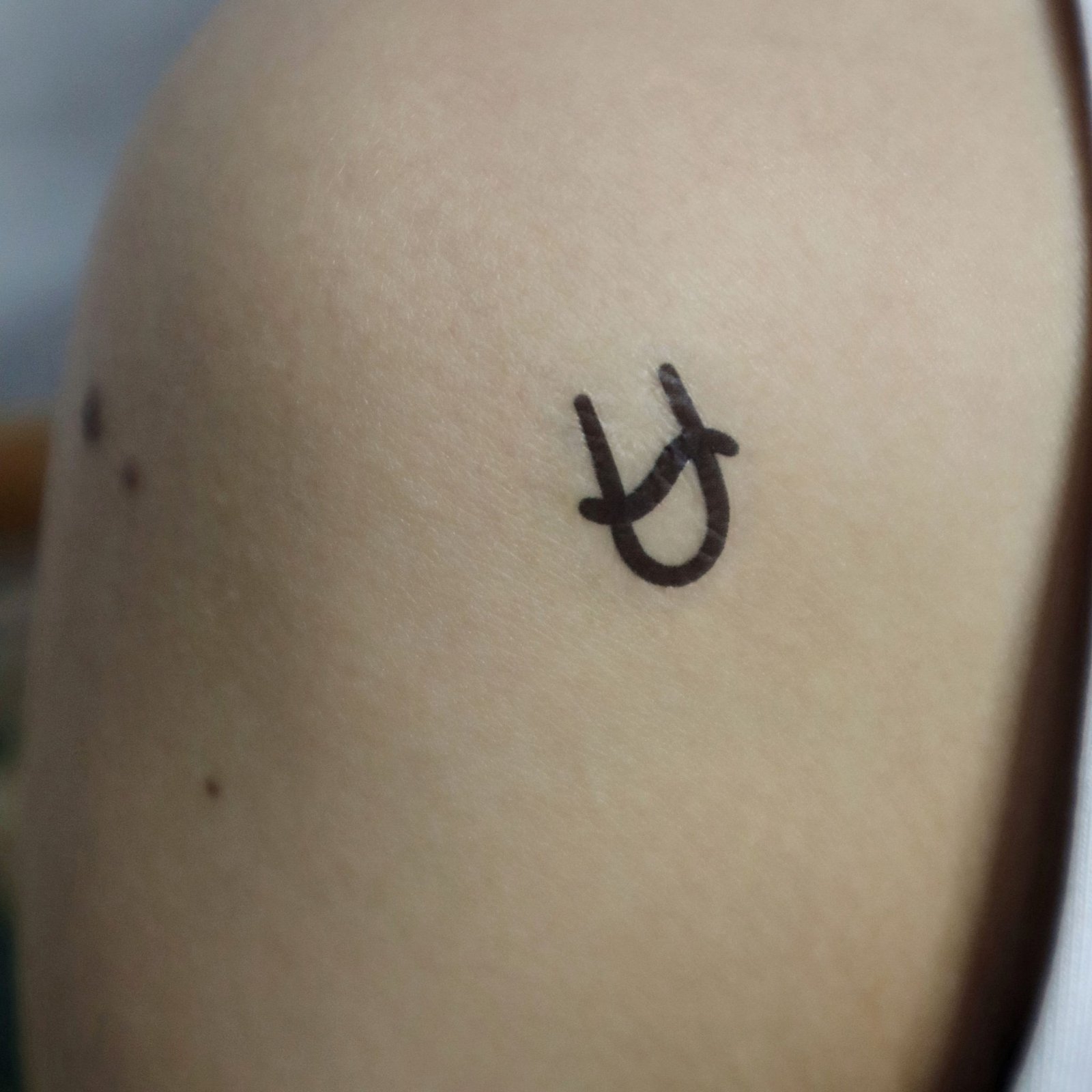 Star Sign Ophiuchus
