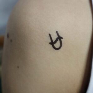 Star Sign Ophiuchus