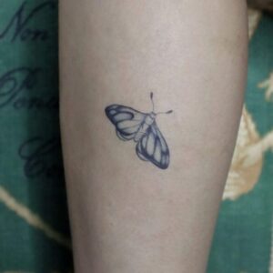 Preflight Moth