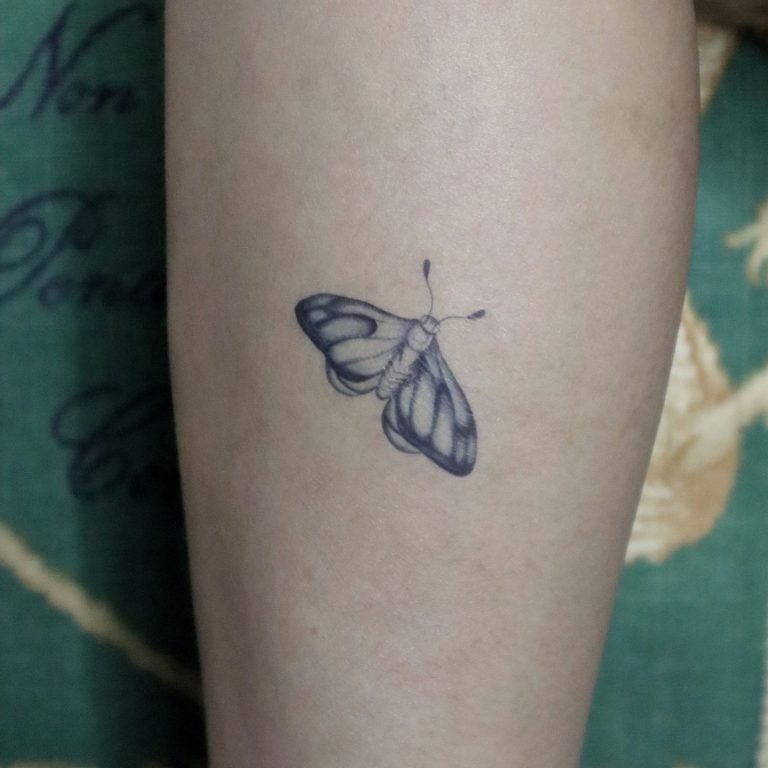 Preflight Moth
