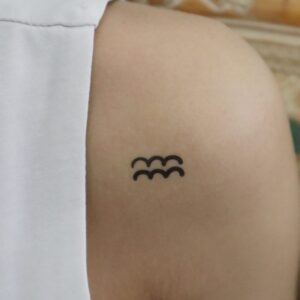 Star Sign Aquarius