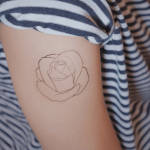 Rose Outline