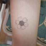 Magical Flower