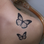 B&W Butterfly