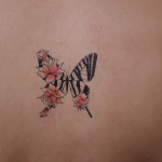 Pink Rose Butterfly