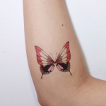 Pink Geometric Butterfly