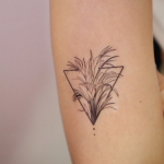 Acera Palm